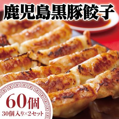 ふるさと納税 霧島市 鹿児島黒豚餃子　60個【九面屋】　A-109