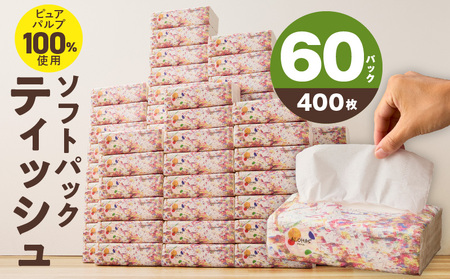 ソフトパックティッシュ 60パック×400枚 ティッシュペーパー