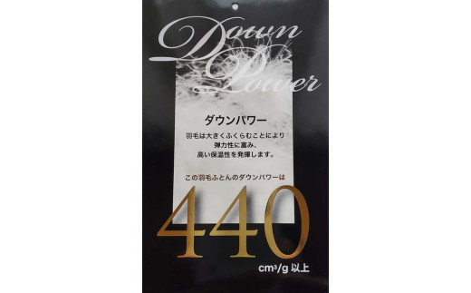 訳アリ【掛け布団】ポーランド産マザーグース93％ 羽毛掛け布団（シングル：150cm×210cm）（ダウンパワー440）【サカキュー】｜羽毛布団 羽毛ふとん 羽毛掛けふとん 訳あり 羽毛　ダウン　布団