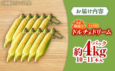 【5月下旬から順次発送】【限定数量】スイートコーン(ドルチェドリーム)約4kg【なかむら農園】[BHCJ002]