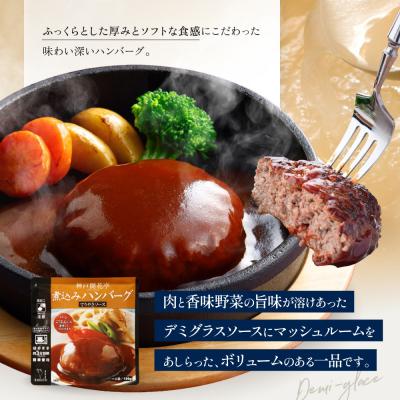 ふるさと納税 京都市 神戸開花亭 煮込みハンバーグ デミグラスソース 190g×5袋|京都 有名店 ハンバーグ 人気セット |  | 01
