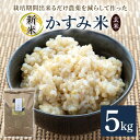 【ふるさと納税】 令和7年産新米 玄米 5kg 栽培期間出来るだけ農薬を減らして作った「かすみ米」 茨城県産 コシヒカリ 米 お米 ご飯 ごはん 低農薬 しめじ菌床活用 甘み豊か 粘土質土壌育ち 健康志向 自然栽培 産地直送 贈答用 ギフト 茨城県 潮来市 (A03-008)