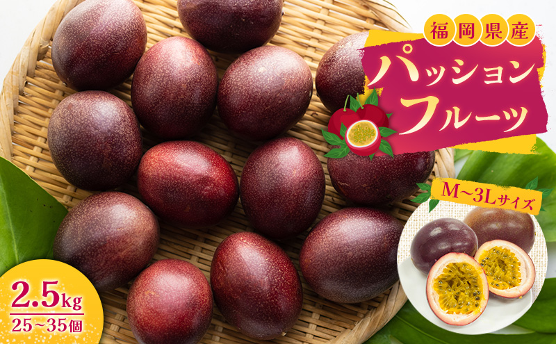 福岡県産 パッションフルーツ 2.5kg (M～3Lサイズ 25～35個) 果物 フルーツ ※配送不可:離島
