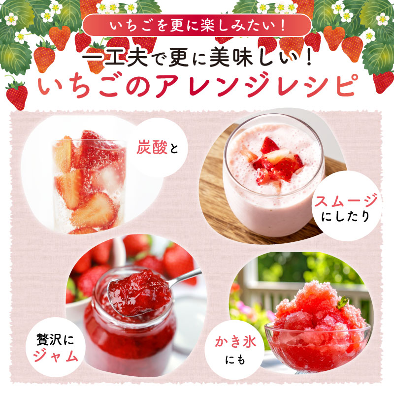 ＜選べる内容量＞ 高級 冷凍 いちご ベリーポップすず & 紅ほっぺ MIX 1000g 1kg 小分け ギフト 朝採り スイーツ フルーツ フローズン 氷 果物 上品 大粒 完熟 イチゴ 苺 ストロ