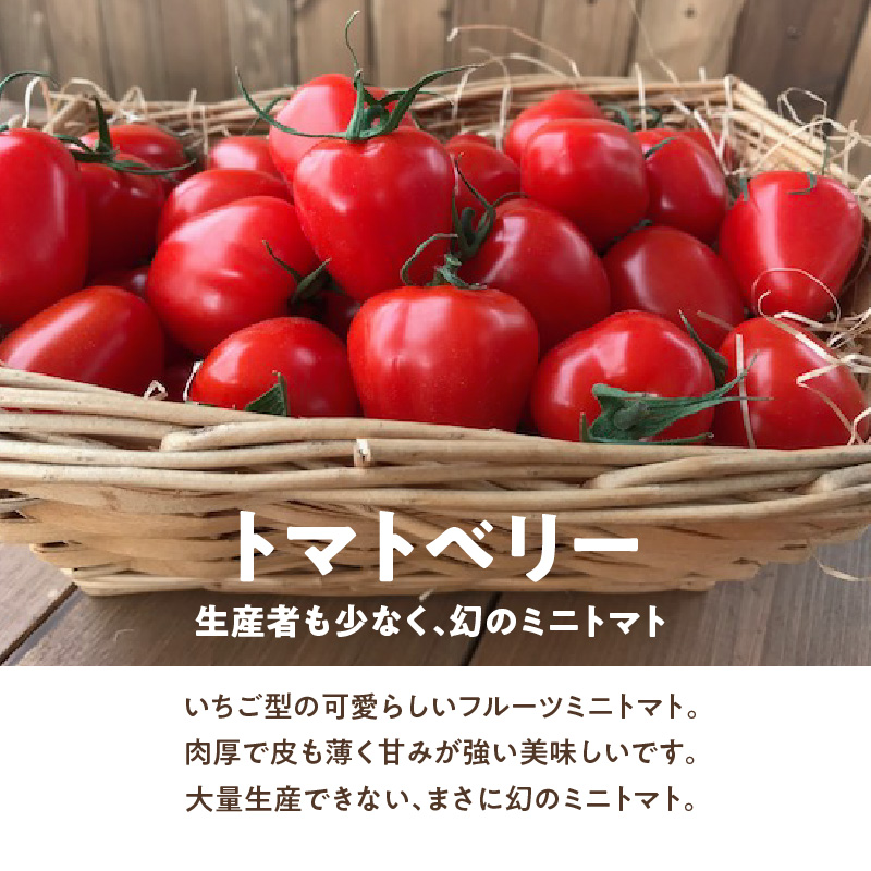 【2026年度予約分】【人気No.1セット】ファンにならずにいられない ファーストトマト＆トマトベリー 計約1.4kｇ（3月～5月で発送） 野菜ソムリエサミット 金賞 受賞 長田農園 産地直送 トマト