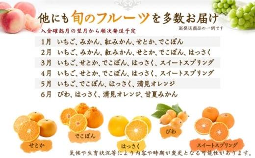 フルーツ 定期便 12ヶ月 丸亀讃美果 セット 詰め合わせ 桃 シャインマスカット いちご ピオーネ みかん 旬の果物 旬のフルーツ 果物 くだもの 紅みかん せとか 清見オレンジ キウイフルーツ キ