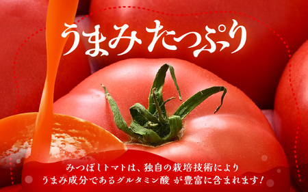 みつぼしトマト☆自然がくれた真っ赤なギフト 約1kg とまと  [A-2608]
