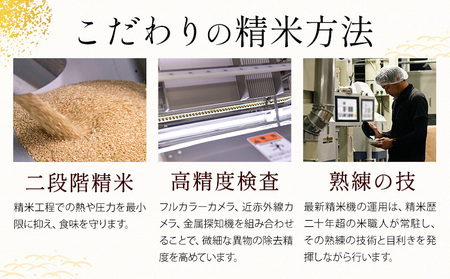【12ヶ月定期便】 無洗米 ひのくに米 5kg 無洗 《お申込み翌月から出荷》