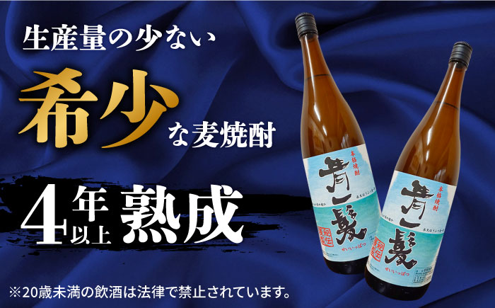 【12回定期便】本格 麦焼酎 青一髪 25° 900ml×2本  / 贈答用 酒 焼酎 南島原市 / 久保酒造場 [SAY013]
