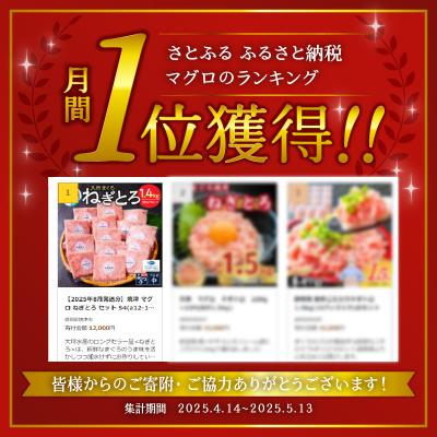 ふるさと納税 焼津市 【2025年8月発送分】焼津 マグロ ねぎとろ セット S4(a12-150202508) |  | 01