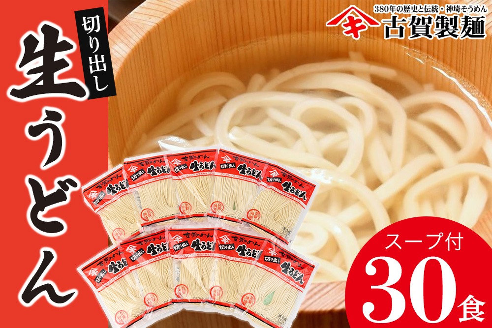 ふっくらモチモチ神埼生うどん 10袋入 【麺 うどん 生うどん 釜揚げうどん】(H014145)