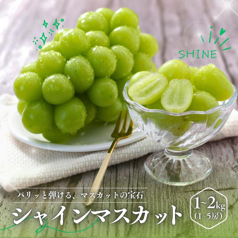【ふるさと納税】＊2026年度発送＊ ぶどう シャインマスカット（長野県産秀品） 約1kg・ 約2kg ／ 9月下旬～11月上旬頃 配送予定 // フルーツ 果物 ブドウ ぶどう シャイン マスカット 甘い 大粒 種なし 皮ごと 葡萄 長野県 南信州 大粒 葡萄 人気 新鮮 MS30 MS31