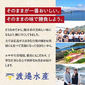 真鯛 しゃぶセット 2人前 ／ 真鯛 サク 刺身【A028-10】