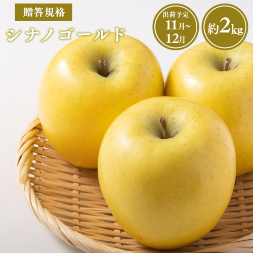 【令和8年産受付】贈答用シナノゴールド約2kg【青森県平川市産・青森りんご】