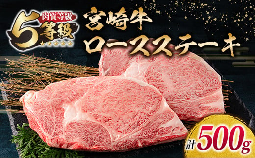 数量限定 最高ランク 5等級 宮崎牛 ロース ステーキ 計500g 牛肉 ビーフ 黒毛和牛 国産 ブランド牛 食品 おかず ディナー おすすめ 鉄板焼き 高級 贅沢 上質 ご褒美 お祝 記念日 イベント おもてなし お取り寄せ グルメ 宮崎県 日南市 送料無料_DB22-23