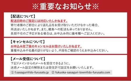 檸檬が香るしっとり檸檬ケーキ　GZ001 