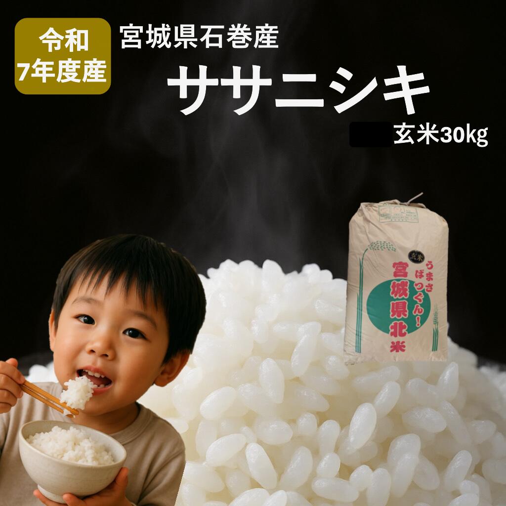 【ふるさと納税】 米 令和7年産 ササニシキ 玄米 30kg お米 ごはん ご飯 飯 30キロ 単一銘柄米 主食 家庭用 美味しい ブランド米 玄米食 あっさり 食感 甘味 健康食 食物繊維 ビタミン ヘルシー ささにしき おにぎり おかゆ 送料無料 宮城県 石巻 石巻市 防災減災