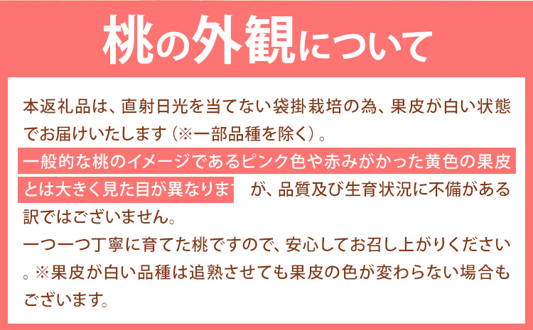 【先行予約】岡山の桃 約750g 《2026年6月下旬-9月上旬頃出荷》 ご家庭用 訳あり 白桃 岡山 はくとう スイーツ フルーツ 果物 デザート 旬 モモ もも 先行予約 送料無料 果物 岡山県 