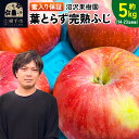 【ふるさと納税】《蜜ライトで蜜入り保証！》葉とらず完熟ふじ 約5kg りんご