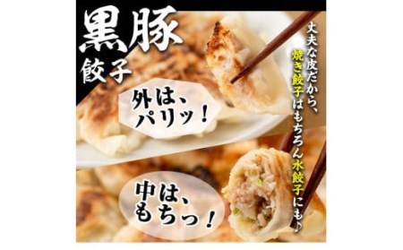 No.861t-A ＜定期便・全3回＞鹿児島黒豚使用の黒豚餃子(計96個・12個入り×8パック)×3回 国産 九州産 ぎょうざ ギョウザ 冷凍 黒豚 豚肉 お肉 おかず 頒布会【末永商店】