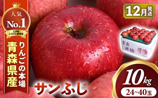 りんご【サンふじ】 約10kg（24～40玉）【2026年産・先行予約】★2026年12月上旬～12月中旬頃発送予定★ 青森県三戸町産 りんご 林檎 フルーツ 果物 果実 青森 三戸 高級 贈答 ギフト プレゼント 産地直送 農家直送 青森県三戸町 AK-25-071