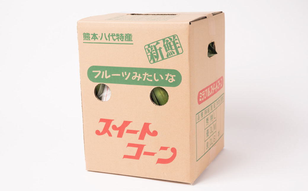【先行予約】プリッとジューシー！ 熊本県 八代市産 スイートコーン ゴールドラッシュ 約4.5kg (13～16本) とうもろこし トウモロコシ コーン 甘い 朝採り 高糖度 BBQ  熊本県 八代市