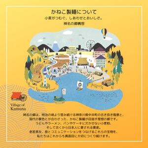 神奈川県中井町　老舗かねこ製麺国産小麦を使ったラーメン3種セット　計6袋【配送不可地域：離島】【1685244】