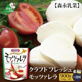 【チーズ 北海道 定期便】森永乳業 モッツァレラチーズ 900g 詰め合わせ (100g×9P) × 2ヵ月【全2回】（北海道産 詰合せ）