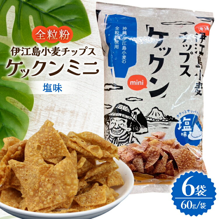 【ふるさと納税】 スナック 伊江島 小麦チップス ケックン ミニ 塩 6袋 セット [いえじま家族 沖縄県 伊江村 ie47bxe680001] スナック菓子 お菓子 チップス おやつ おつまみ ケックン ケックンチップス 沖縄 ふるさと納税 ふるさと 返礼品