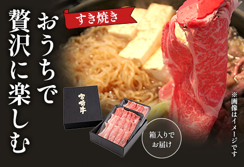 宮崎牛 ウデ モモ スライス セット 800g 赤身 霜降り肉 400g×2 |牛肉 牛 肉 ウデ モモ 赤身