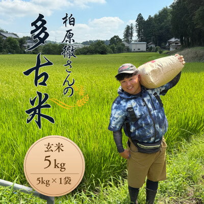 【ふるさと納税】多古米セレクション　柏原徹さんの多古米コシヒカリ　玄米5kg　令和7年産【配送不可地域：離島】【1655245】
