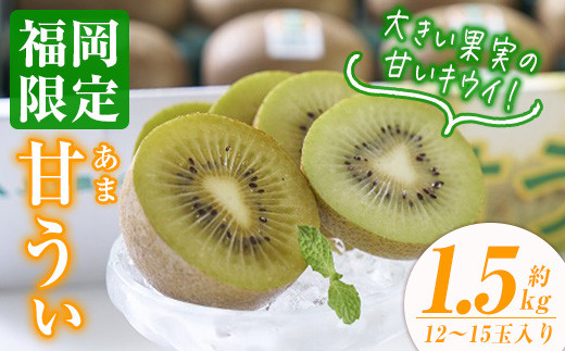 
            ＜先行予約受付中！2025年10月下旬～2025年11月下旬に順次発送予定＞甘うぃ キウイ(約1.5kg・12-15玉)キゥイ キューイ キュウイ あまうぃ フルーツ 果物 くだもの＜離島配送不可＞【ksg0124】【南国フルーツ】
          