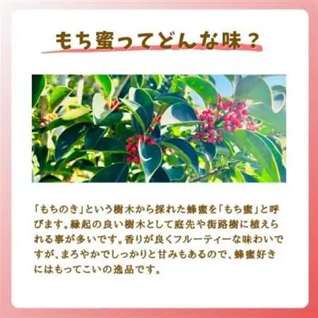 みつばちの雫　国産もち蜂蜜　500g+300g_調味料 はちみつ  ハチミツ 蜂蜜_【1481088】