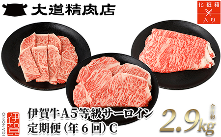 【年6回】伊賀牛 A5サーロイン 定期便コースC 総合計約2.9kg【dido-tkb0011】