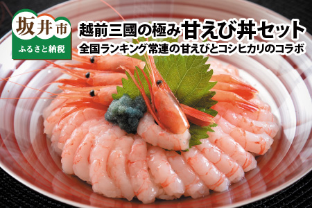 越前三國の極み甘えび丼セット ～全国ランキング常連の甘えびとコシヒカリのコラボ～ [A-23116]