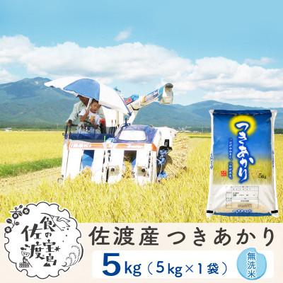 ふるさと納税 佐渡市 【毎月定期便】佐渡島産つきあかり 無洗米5Kg 〜栽培期間中の農薬5割減〜全6回