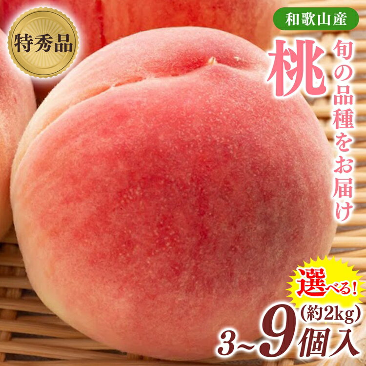 【ふるさと納税】＼選べる内容量／先行受付!　旬の桃　(特秀品)