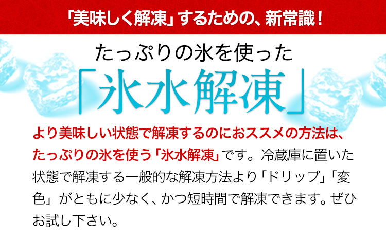 馬刺し 上赤身 ブロック 国産 熊本肥育 冷凍 生食用 たれ付き(10ml×30袋) 100g×30セット 肉 期間限定 絶品 牛肉よりヘルシー賞 熊本県大津町《7月中旬-9月末頃出荷》