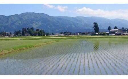 定期便・12回  富山県産こしひかり 　育（はぐくみ）  白米３kg×２袋《南砺の逸品》