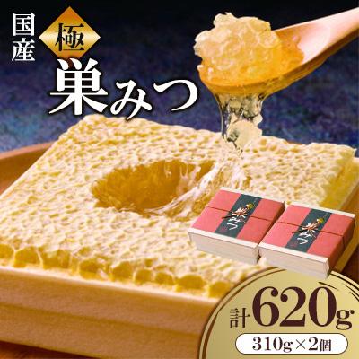 ふるさと納税 広川町 【先行予約2025年7月より発送】国産　極巣みつ　620g(310g×2個)(広川町)