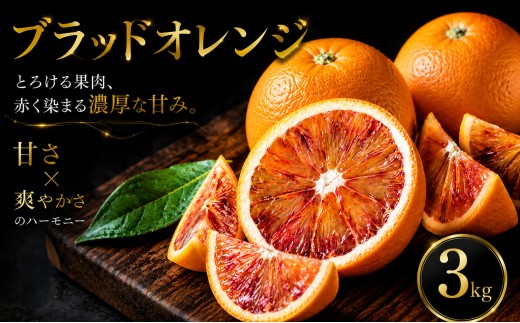【いま注目されています】 ワインのような深み 【ブラッドオレンジ】 3kg 愛媛県産 【2027年2月下旬頃から順次発送】 | みかん ミカン mikan 蜜柑 訳ありフルーツ 柑橘 果物 おすすめ お勧め お取り寄せ ギフト 愛媛県 松山市