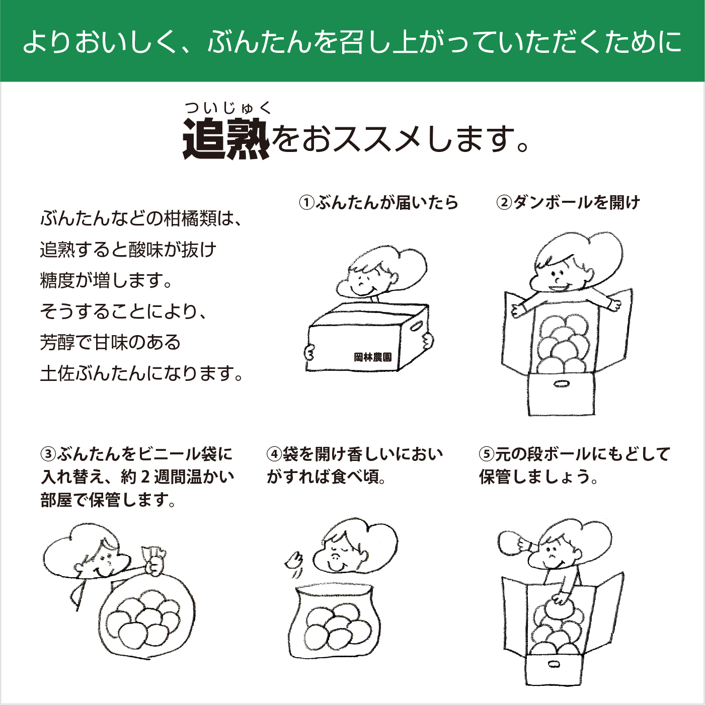 【2026年発送】岡林農園の(家庭用)土佐文旦(約5kg/8～12玉)  栽培期間中 農薬不使用