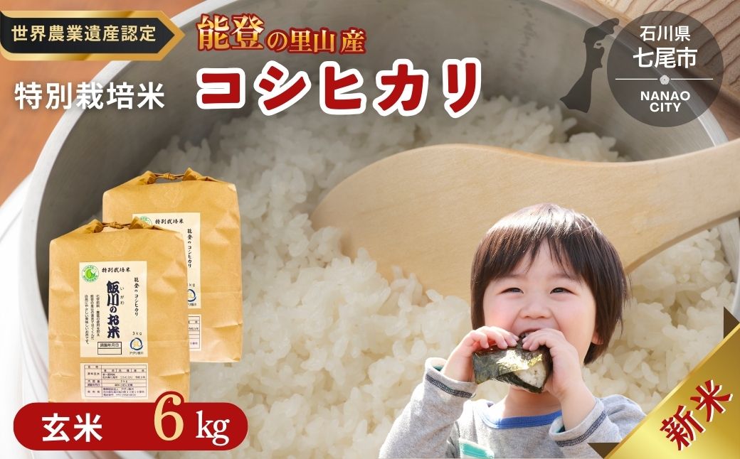 米 玄米 /能登のコシヒカリ　飯川のお米　6kg（玄米3kg×2袋）特別栽培米 ※2024年10月中旬～2025年3月下旬頃に順次発送予定 石川県 七尾市