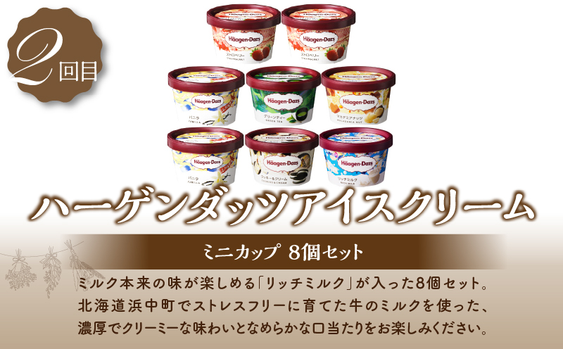 ＜全4回・連続＞北海道浜中町の人気スイーツ詰め合わせ定期便 アイス スイーツ デザート_H0100-008