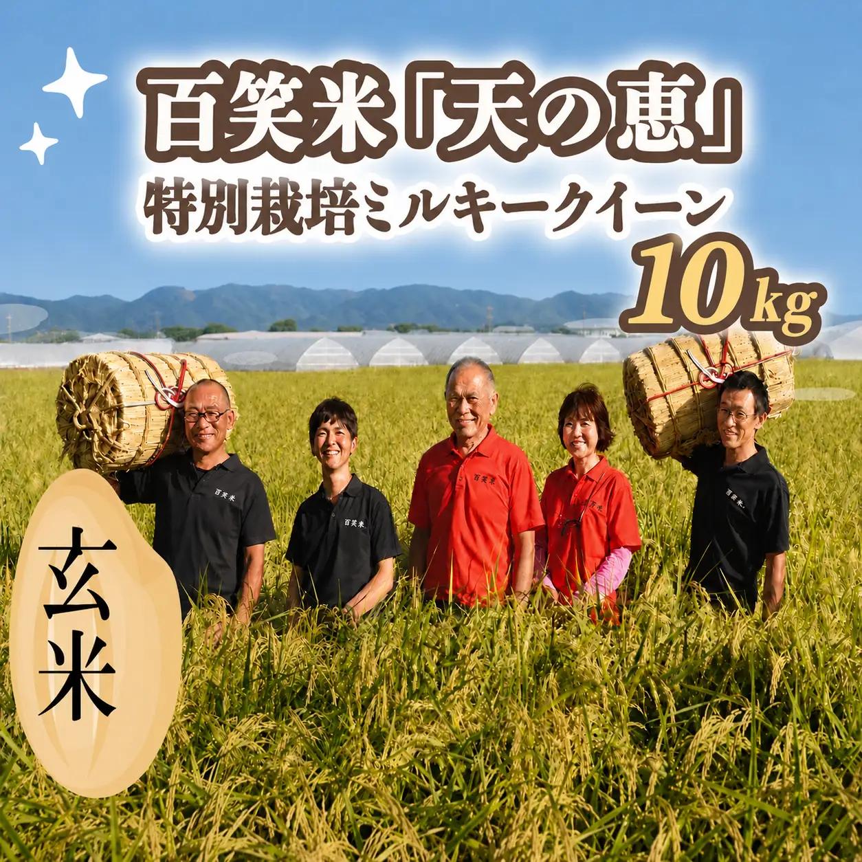 玄米 百笑米 「 天の恵 」 有機栽培 ミルキークイーン 10kg R8年産 新米 米 コメ 茨城県 単一米