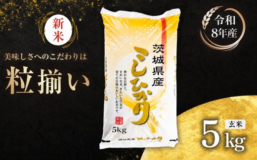 【9月発送 (新米 令和8年産)】玄米 コシヒカリ 5kg 茨城県下妻市産 【 お米 米 ご飯 こめ コシヒカリ 令和8年産 茨城県産 】