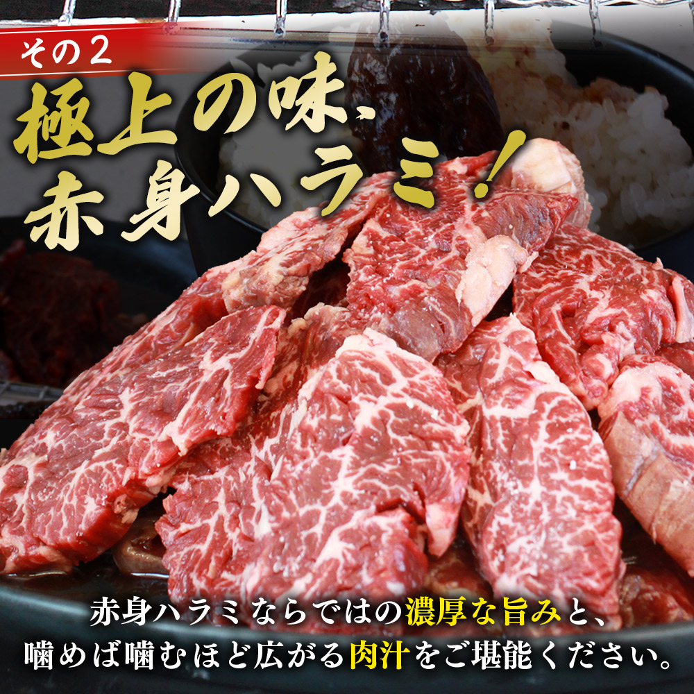 ＜秘伝の特製タレ仕込み！やわらか赤身ハラミ 約1kg（500g×2）＞ タレ漬け 柑橘 訳あり はらみ ハラミ 赤身 大容量 牛肉 お肉 焼肉 味付き おかず 焼くだけ 簡単調理 グルメ 丸和 愛媛県