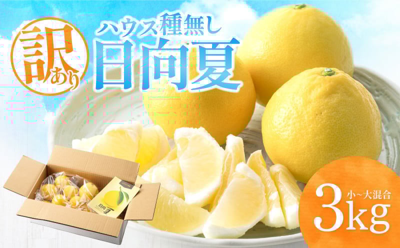 
            《2025年発送》【期間・数量限定】【訳あり】ハウス種無し日向夏　小～大混合3kg_M347-001
          