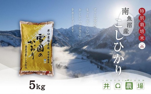 新米【令和8年産】南魚沼産コシヒカリ 5kg  井口農場こだわりの 特別栽培米【銘柄米 ブランド米  精米 こしひかり コシヒカリ 魚沼産 南魚沼産 新潟米 新潟県産 国産米 産地直送 ご飯 御飯 ごはん 厳選】【2026年10月上旬より順次発送予定】