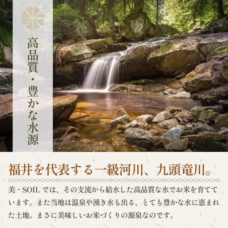 【先行予約】【令和8年産 新米】特別栽培米 コシヒカリ 10kg 低農薬 《食味値85点以上！こだわり極上米》 / 福井県 あわら 北陸 米 お米 人気 高品質 鮮度抜群 新米 ※2026年9月上旬よ